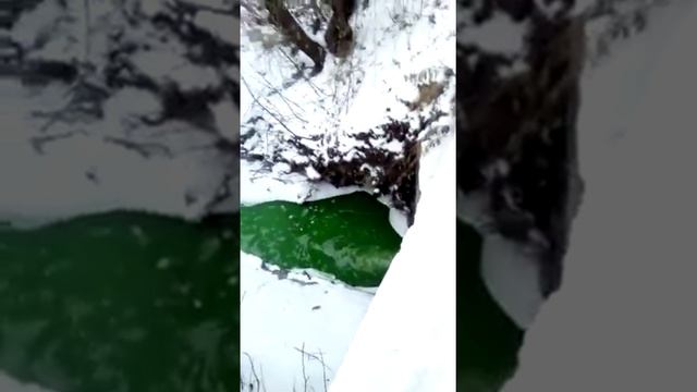 Что сливают в нашу пароварку ??? смотреть онлайн