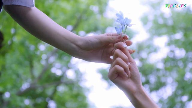 I Dream Your Love ( Expression 4 ) [2160p] смотреть онлайн