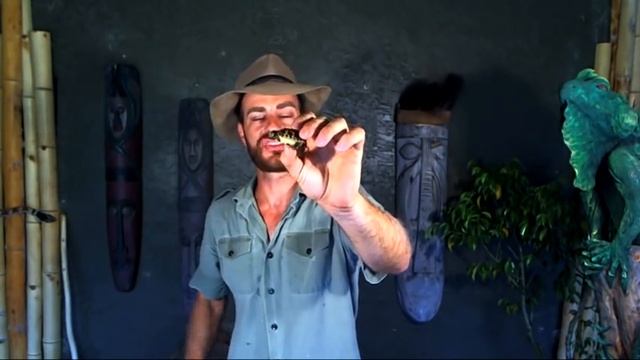 Best Tortoise For You?? Kamp Kenan S1 Episode 10 смотреть онлайн