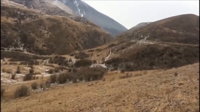 Страстный гончатник Беслан Черкесов и его гончие . смотреть онлайн