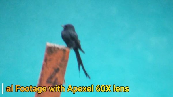 Apexel 60X Zoom Telephoto – Hyper Zoom Telescope Lens Review for Mobile #TechCassette