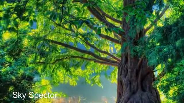 9. УМ, гл.7, «Я есть То» – Н. Махарадж смотреть онлайн