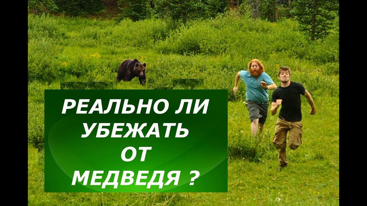 Реально ли убежать от медведя? А ты сможешь? смотреть онлайн