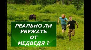 Реально ли убежать от медведя? А ты сможешь?