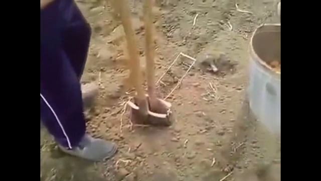 КАК БЫСТРО ПОСАДИТЬ КАРТОШКУ смотреть онлайн