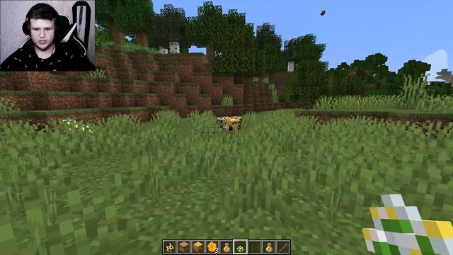 Пчелы в майнкрафт ? SNAPSHOT 19w34a Minecraft 1.15 смотреть онлайн