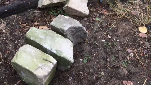 Садовая дорожка дёшево и навсегда! 20 октября 2020 года. смотреть онлайн