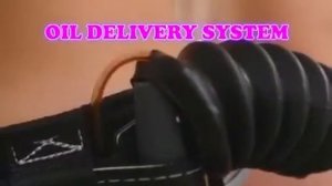 Ленивые трахунцы