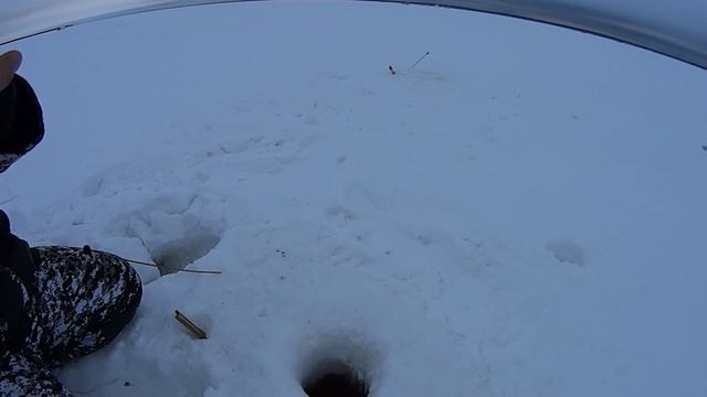 Рыбалка на Белом море Ловим сига смотреть онлайн