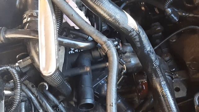 Замена термостата 1.6 BFQ шкода а4 смотреть онлайн