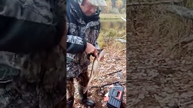 рыбалка в шугуре смотреть онлайн