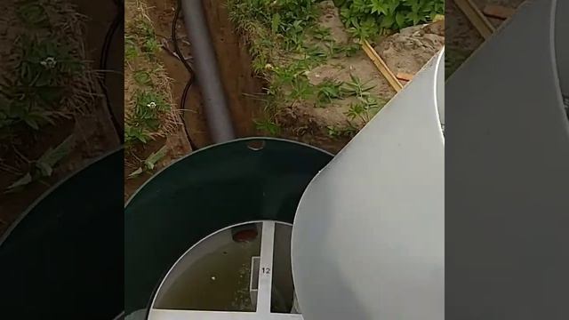 Септик Kolomaki