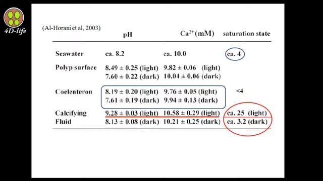 The structural responses in scleractinian corals to the Alkalinity (DIC)change, Part 3 смотреть онлайн