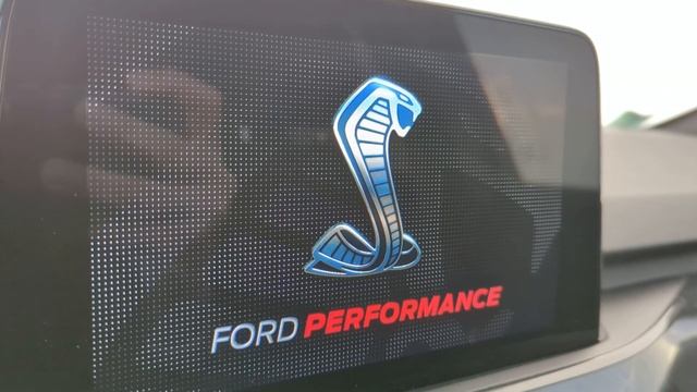splashscreen Ford Kuga mk3 EVO смотреть онлайн