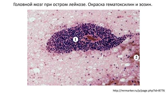 Антистресс: встреча с собой