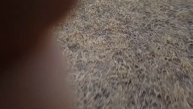 Rocket mania shattered смотреть онлайн