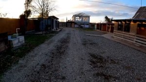 Питбуль Араб начал РВАТЬ девок Барби и Бониту. ДР@АКА ПИТБУЛЕЙ ЩЕНКОВ УЖЕ НЕ ПО ДЕТСКИ !