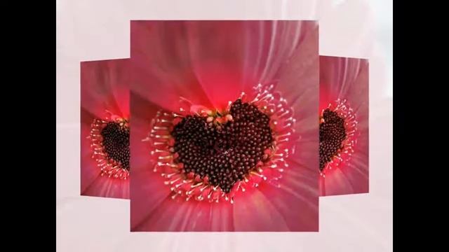 Расслабляет и успокаивает