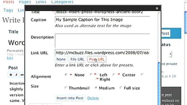 WordPress 2.5+ Tutorial - How to Upload and Insert an Image смотреть онлайн