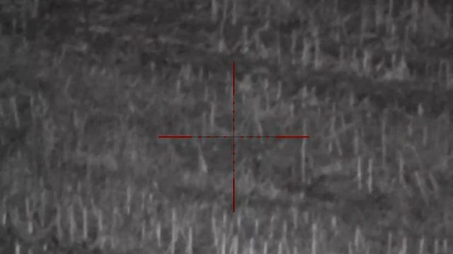22. Pulsar Digisight Ultra N455 LRF wild boar hunting смотреть онлайн