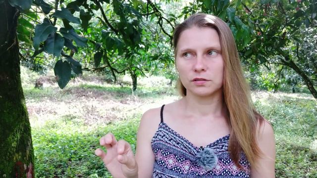 Доходы растут, Много продаж, Этси магазин смотреть онлайн