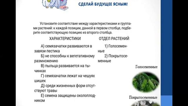 Биология. Разбор варианта ВПР по биологии 7 класс смотреть онлайн
