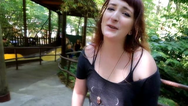 ADVENTURES IN ENCHANTED FOREST смотреть онлайн