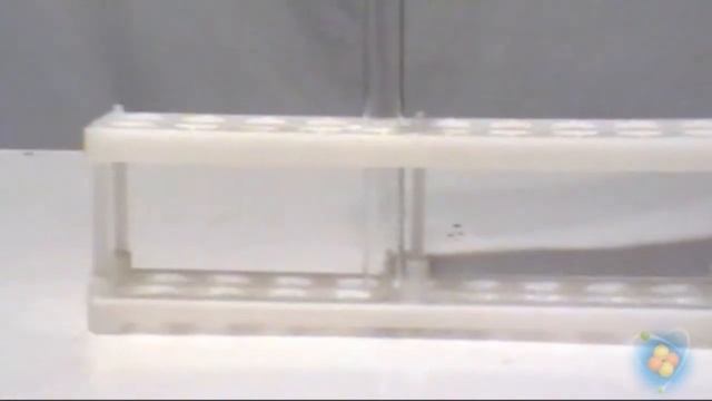 Взаимодействие магния с хлоридом аммония. смотреть онлайн