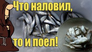 Консервы из Уклейки в домашнем Автоклаве , что наловил то и поел