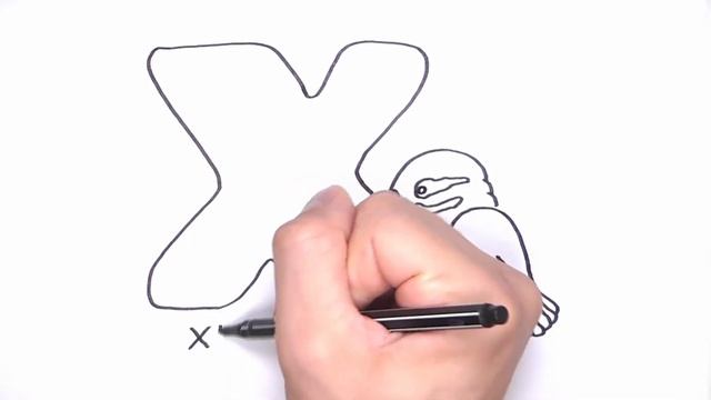 Drawing Alphabet for Children - LEttre X for Xenops Bird - How to Draw and Color Animals смотреть онлайн