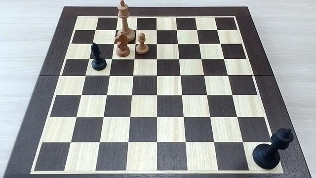 Конь и пешка против слона. Часть 1. смотреть онлайн