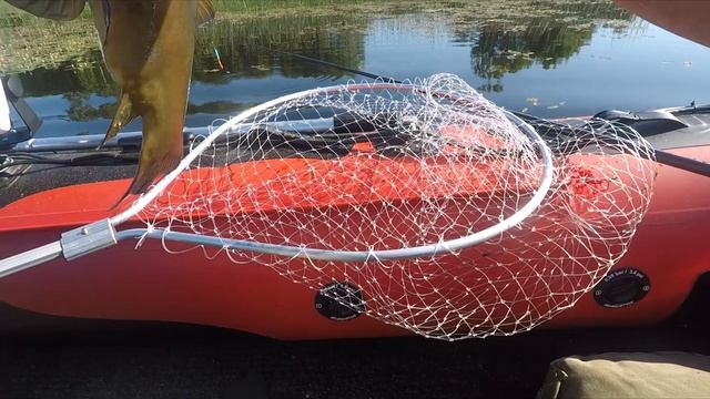 КРУПНЫЙ ЛИНЬ В ИЮЛЬСКУЮ ЖАРУ. ХОТИТЕ ПОЙМАТЬ ЛИНЯ ?