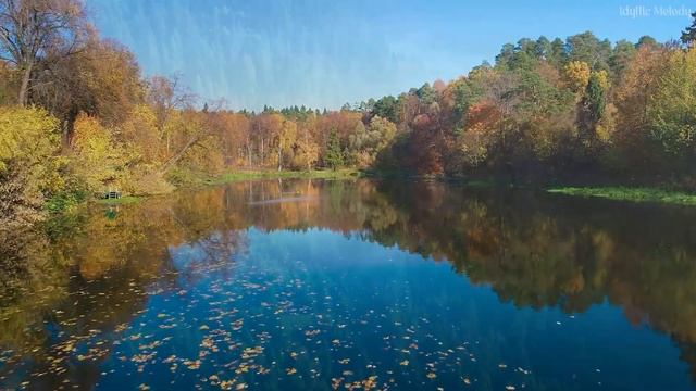 Ángeles y Arcángeles te Sanan Mientras Duermes • Música Tranquila Sentir el Alma смотреть онлайн