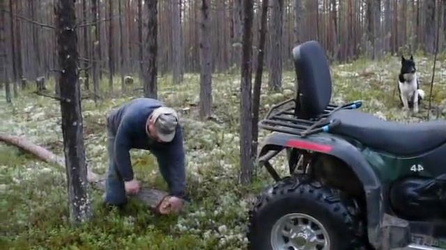 30 октября 2011 идет заготовка дров на зиму смотреть онлайн