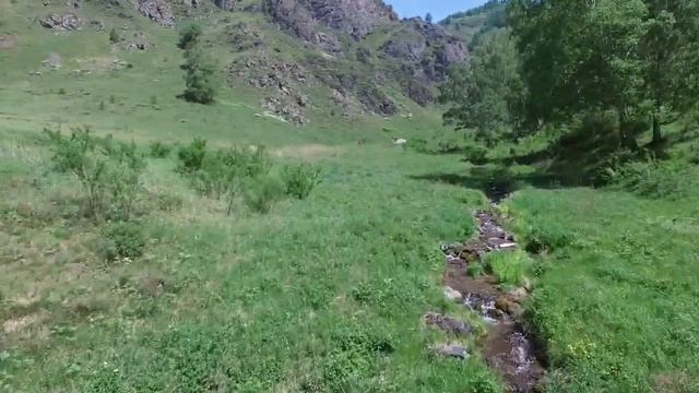 Чечкыш июнь 2018 смотреть онлайн