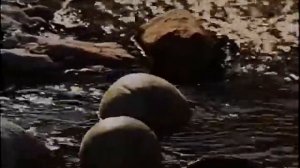 Афганец 1991 Фильм Владимир Мазур  В ролях Петр Ярош, Александр Литовченко  Боевик