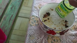 Зеленый жук залетел в шашлый