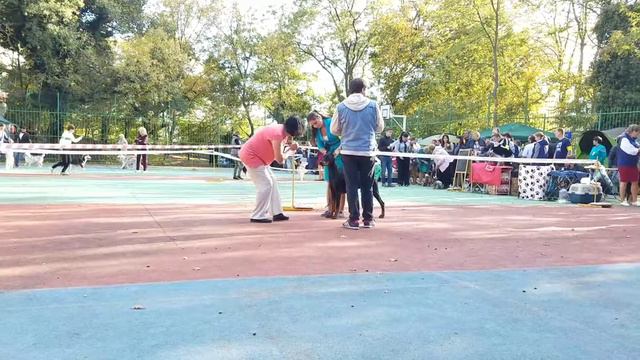 CAC Абрау Дюрсо 14.10.2017г смотреть онлайн