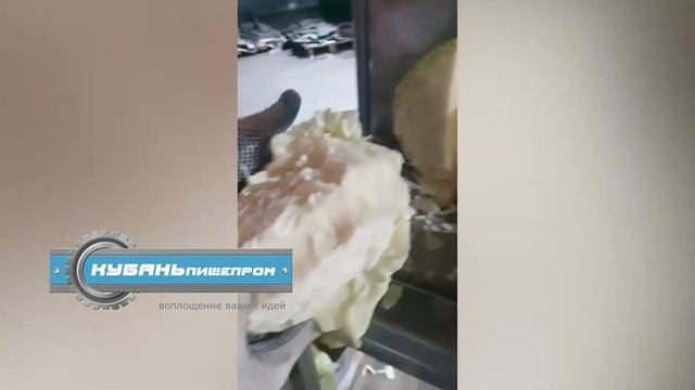 Машина удаления кочерыжки капусты / ООО «Кубаньпищепром» смотреть онлайн
