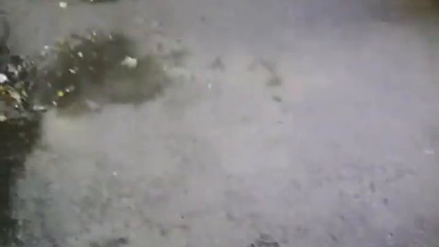 Цветочная ферма смотреть онлайн