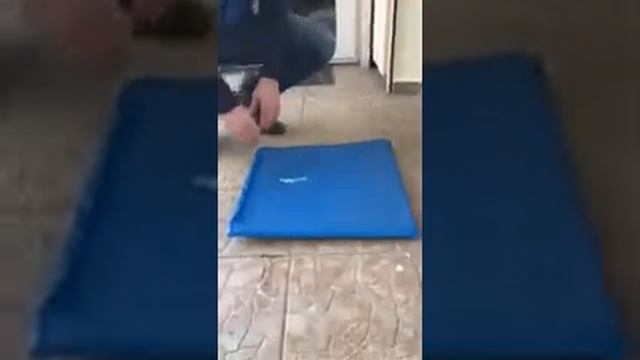 Антибактериальный коврик смотреть онлайн