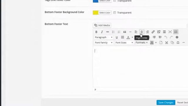 2- The Best News Theme Footer Options - Wordpress Theme смотреть онлайн