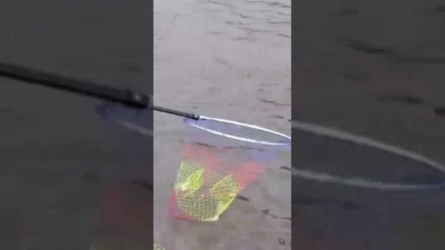 Рыбалка вот еще вываживание карпа. смотреть онлайн