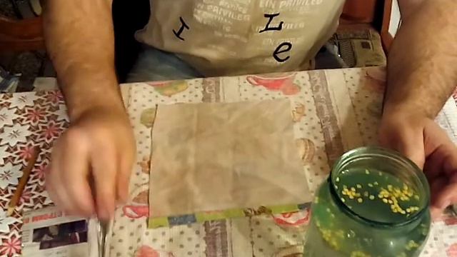 Отбор семян перед посадкой . смотреть онлайн