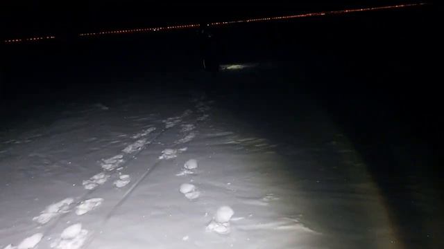 Сестрорецк 28 декабря 2021 года смотреть онлайн