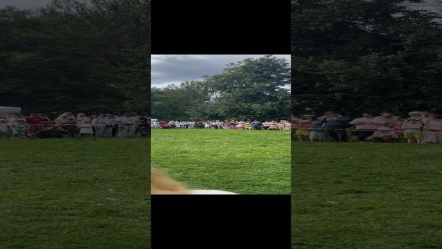 Собака смотреть онлайн