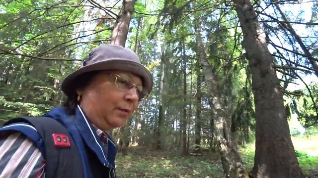 Удачно сходили за грибами. Нашли два шалаша. 11 авг 2021 смотреть онлайн