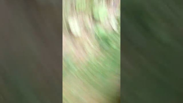 Пьяные девочки смотреть онлайн