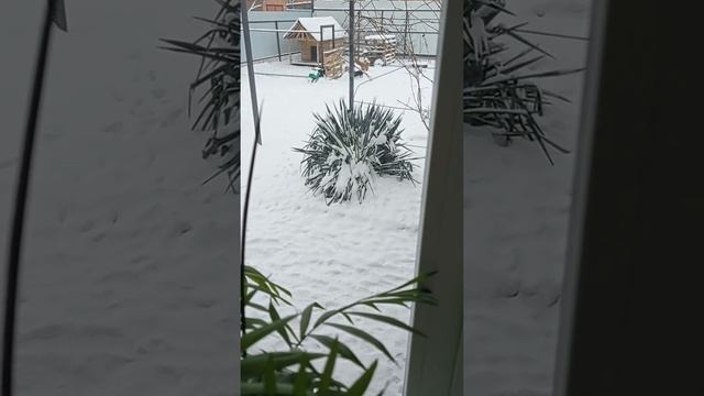 Рома кашляет, в это время крашу трубы.... смотреть онлайн