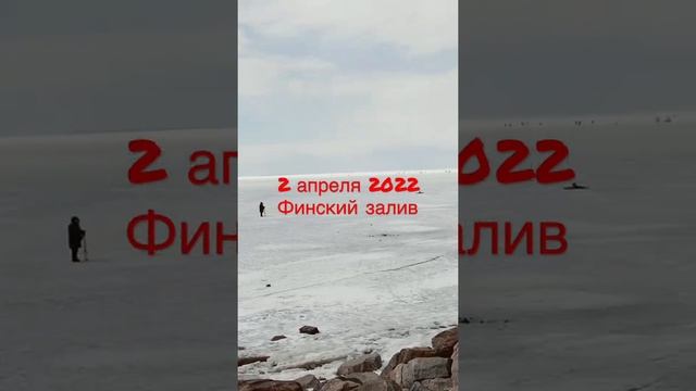 Дудергофский канал/Финский залив. Рыбалка 2 апреля 2022 года смотреть онлайн